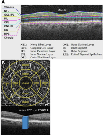 Figure 1: