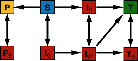 Figure 1: