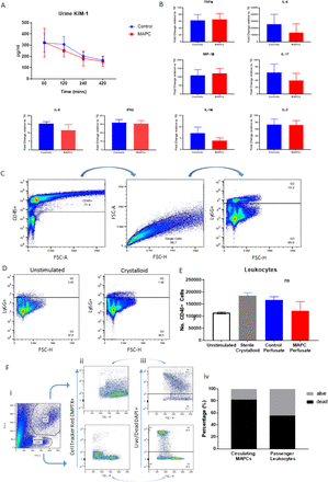 Supplementary figure 1: