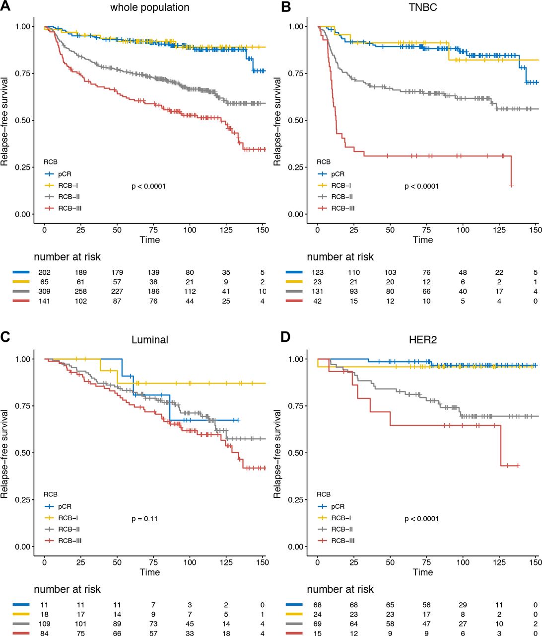 Prognostic Value Of The Residual Cancer Burden Index According To ...