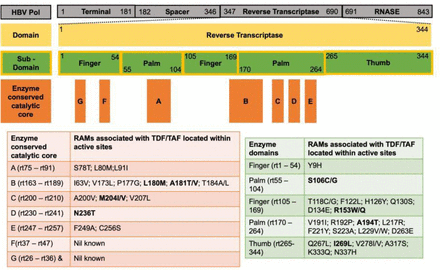 Fig 1: