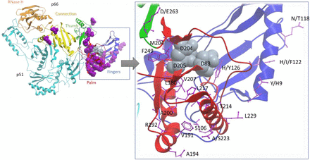 Fig 4: