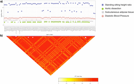 Figure 2: