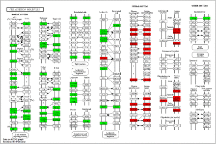 Supplementary Fig. 4