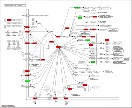 Supplementary Fig. 5