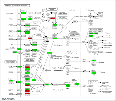 Supplementary Fig. 6