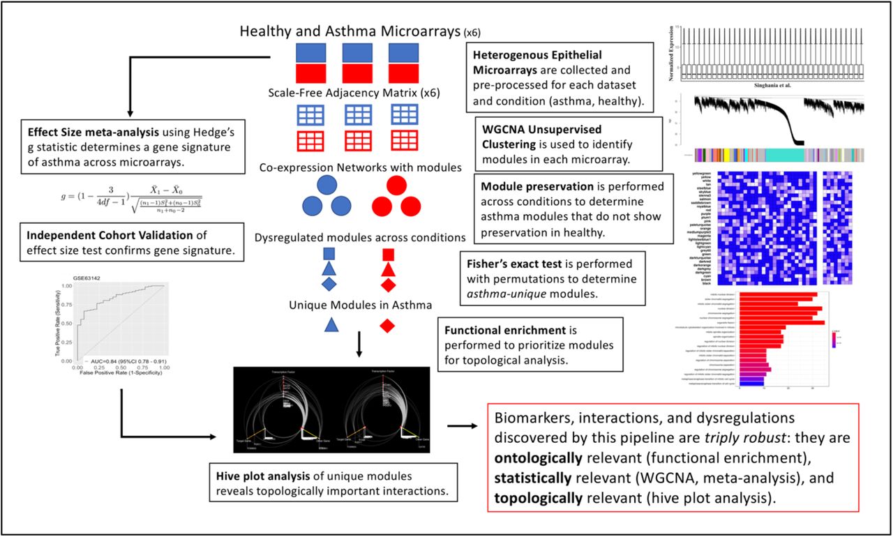 comprehensive meta analysis unlock code