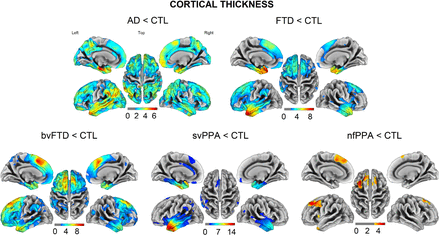 FIGURE 1: