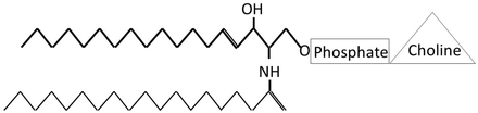 Fig 1.