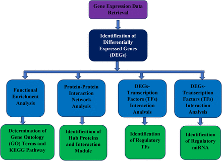 Figure 1: