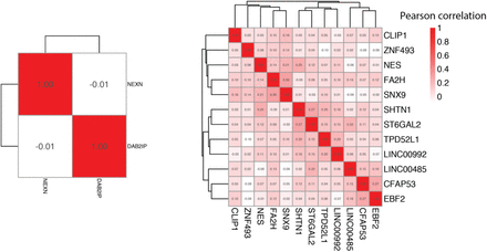 Supplementary figure 3.