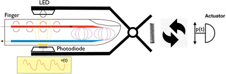 Fig. 1: