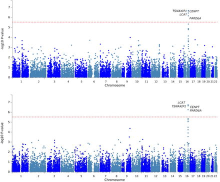 Figure 2: