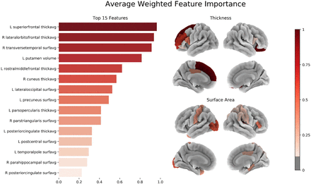 Figure 5: