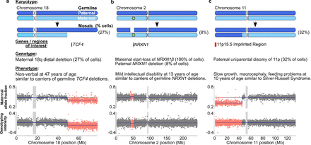 Figure 4: