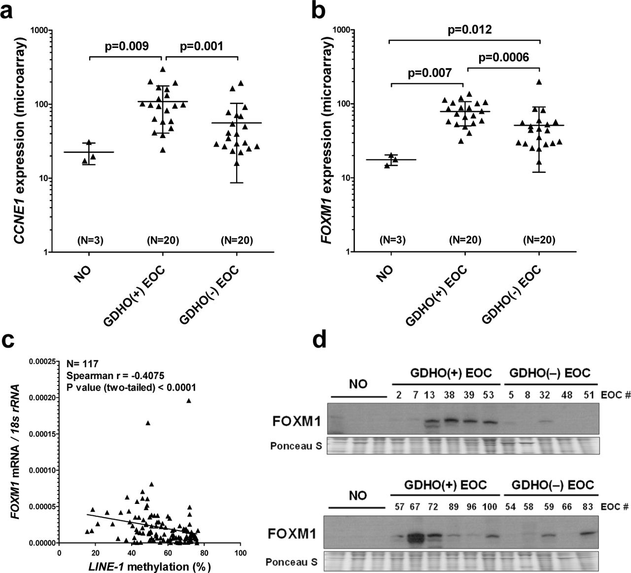 Global Dna Hypomethylation In Epithelial Ovarian Cancer Passive Demethylation And Association With Genomic Instability Medrxiv