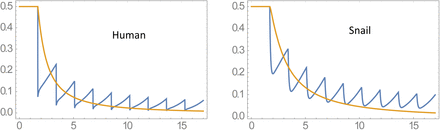 Macro Parasite Transmission In Dynamic Seasonal Environment Basic Reproductive Number Endemicity And Control Medrxiv