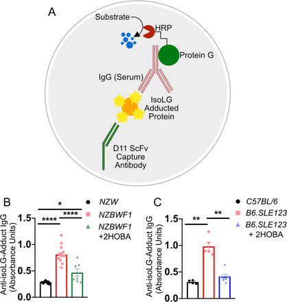 Figure 10: