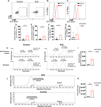 Figure 11: