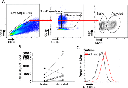 Figure 2: