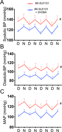 Figure 5: