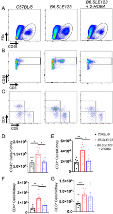 Figure 6: