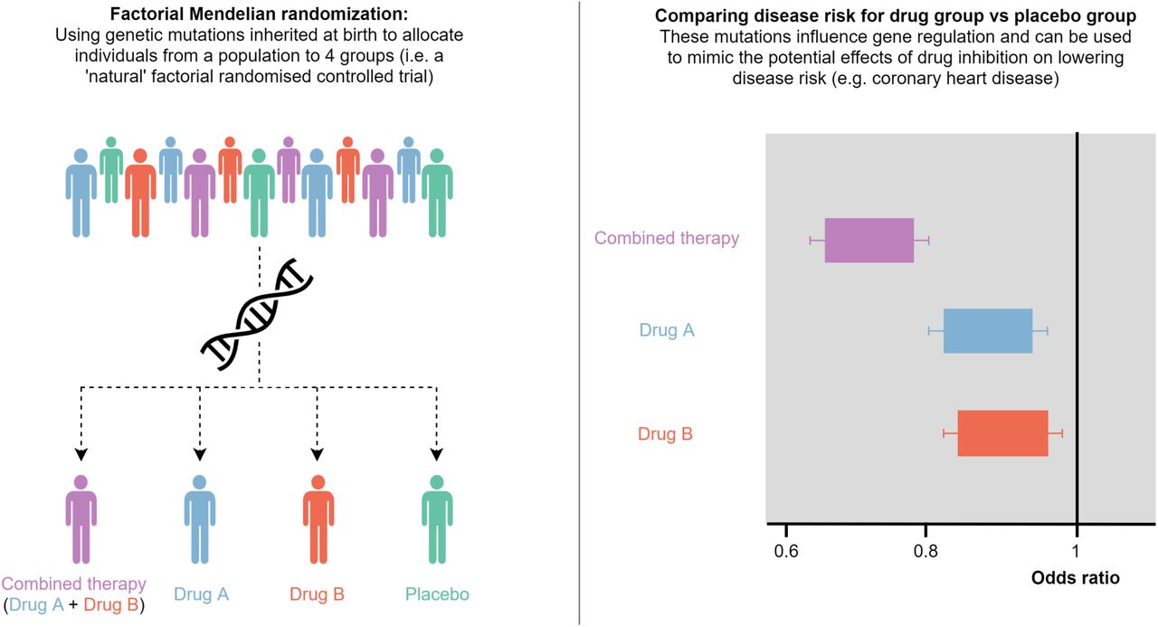 A factorial Mendelian randomization study to systematically prioritize ...