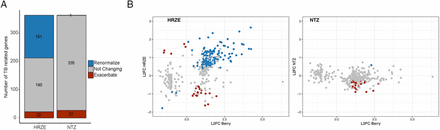 Figure 4: