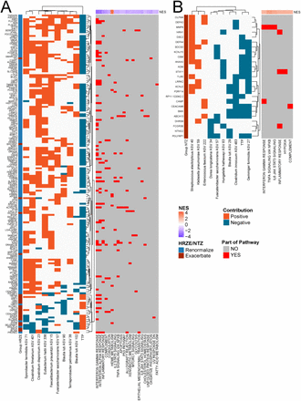 Figure 5: