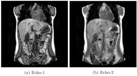 Figure 1: