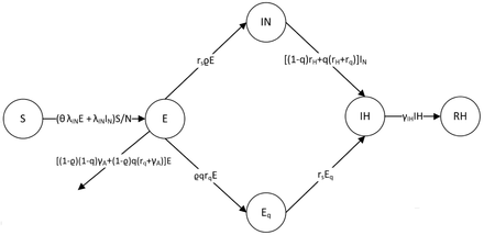 Figure 2: