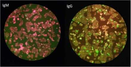 Figure 2: