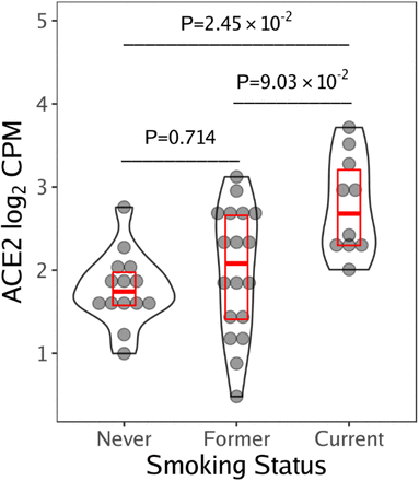 Figure 1C.