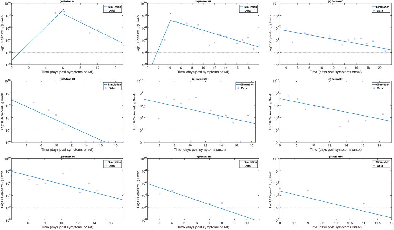 In Host Modelling Of Covid 19 Kinetics In Humans Medrxiv