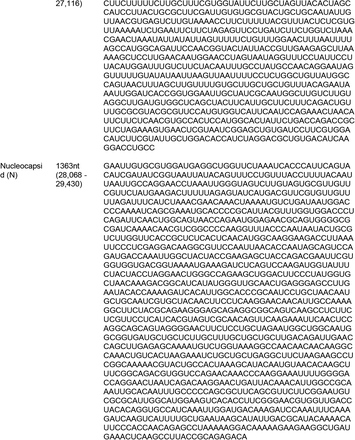 Supplemental Table 2: