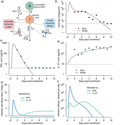 Supplementary Figure 5.