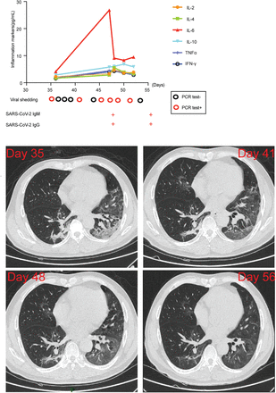 Figure 2: