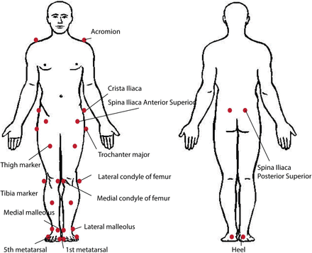 Figure S1: