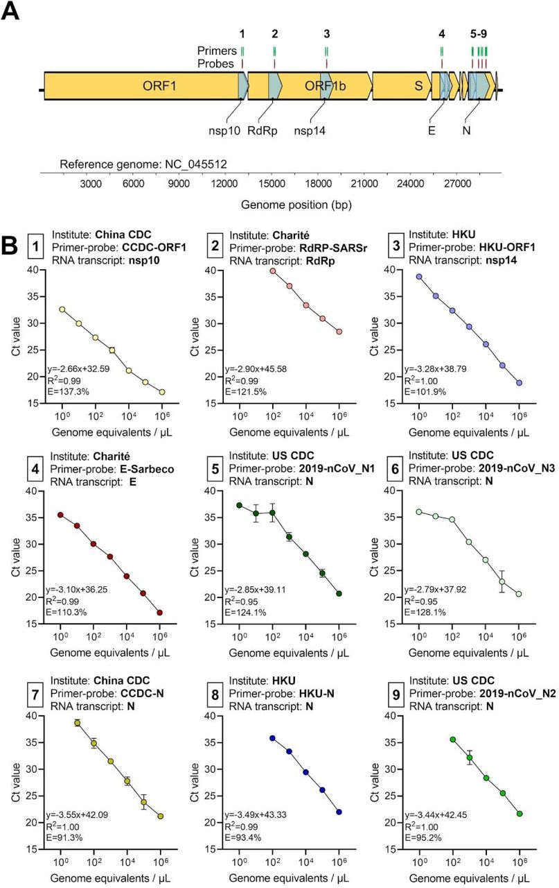 Analytical Sensitivity And Efficiency Comparisons Of Sars Cov 2 Qrt Pcr Assays Medrxiv