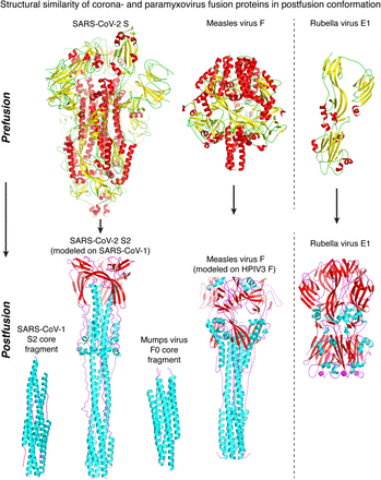 Figure 2: