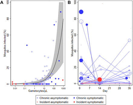 Figure 5: