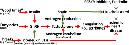 Figure 2: