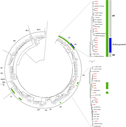 Figure 2.