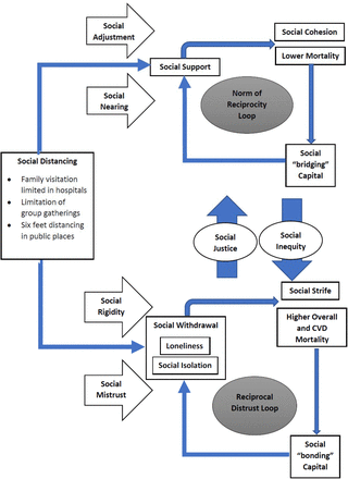 Figure 2: