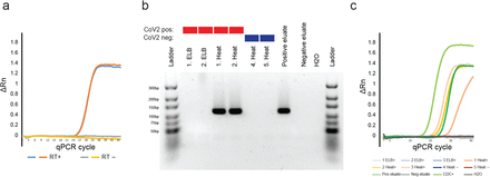 Supplementary figure 1.