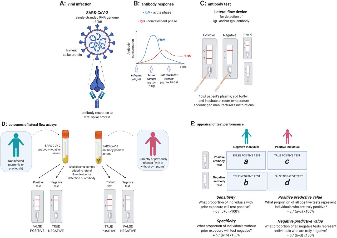 Evaluation of antibody testing for SARSCoV2 using ELISA and lateral