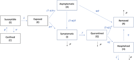 Fig 1.