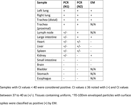 Table 3: