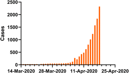 Figure 01: