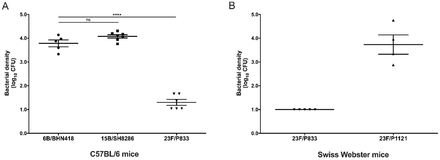 Figure 3: